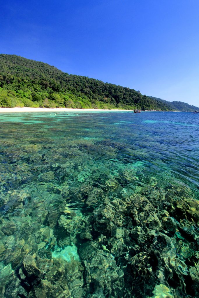 Snorkeling with Akira Lipe