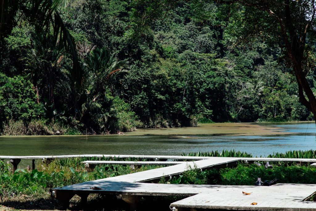 อุทยานแห่งชาติทะเลบัน (Thale Ban National Park)