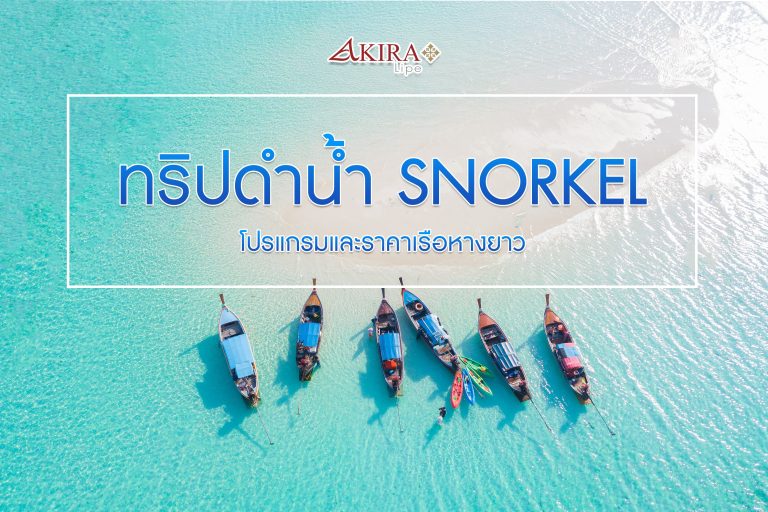 ทริปดำน้ำ Sonckels โปรแกรมและราคาเรือหางยาว